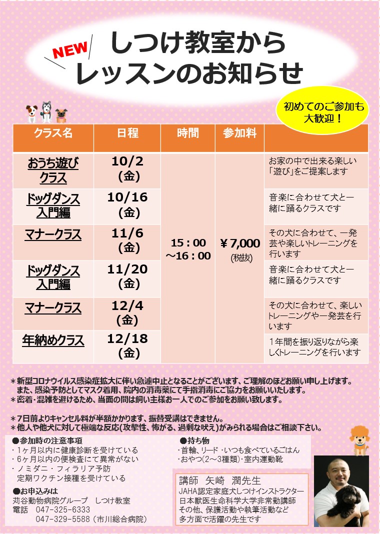 市川しつけ教室より 矢崎潤先生による特別レッスン 日程変更のお知らせ 新着情報 苅谷動物病院グループ 東京 市川市に5つの病院を展開 年中無休