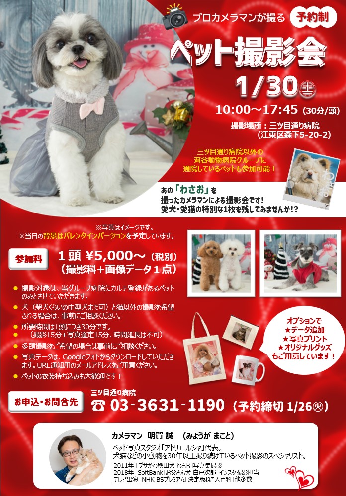 1 30 ペット撮影会 三ツ目通り病院 開催のお知らせ 当イベントは延期となりました 新着情報 苅谷動物病院グループ 東京 市川市に5つの病院を展開 年中無休
