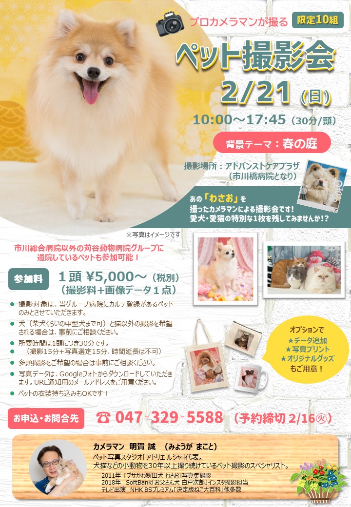 2 21 ペット撮影会 市川総合病院 開催のお知らせ 当イベントは延期となりました 新着情報 苅谷動物病院グループ 東京 市川市に5つの病院を展開 年中無休