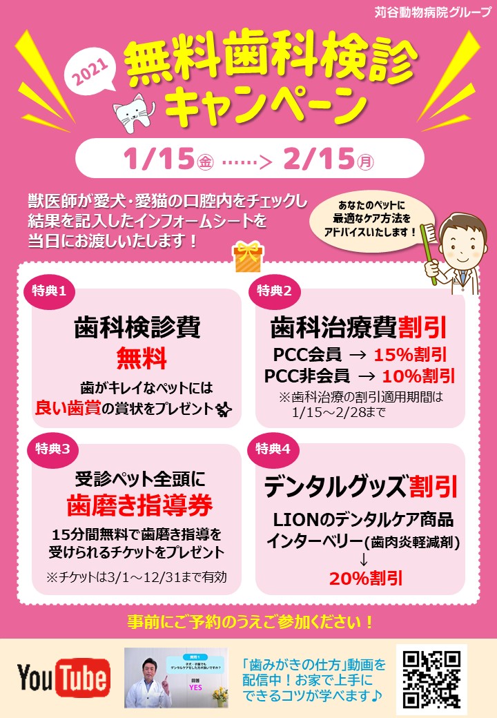 予防 接種 予約 の 仕方 電話
