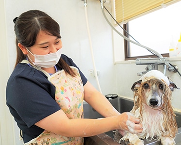 美容オプションも充実