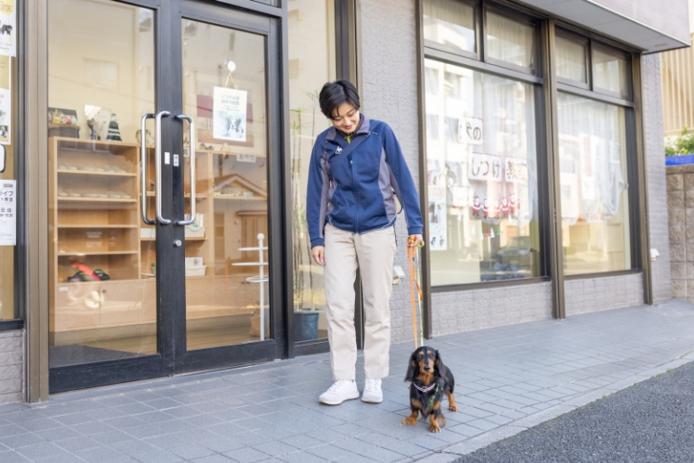 犬のしつけ教室の画像