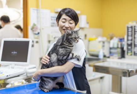 猫の寄生虫予防のイメージ画像