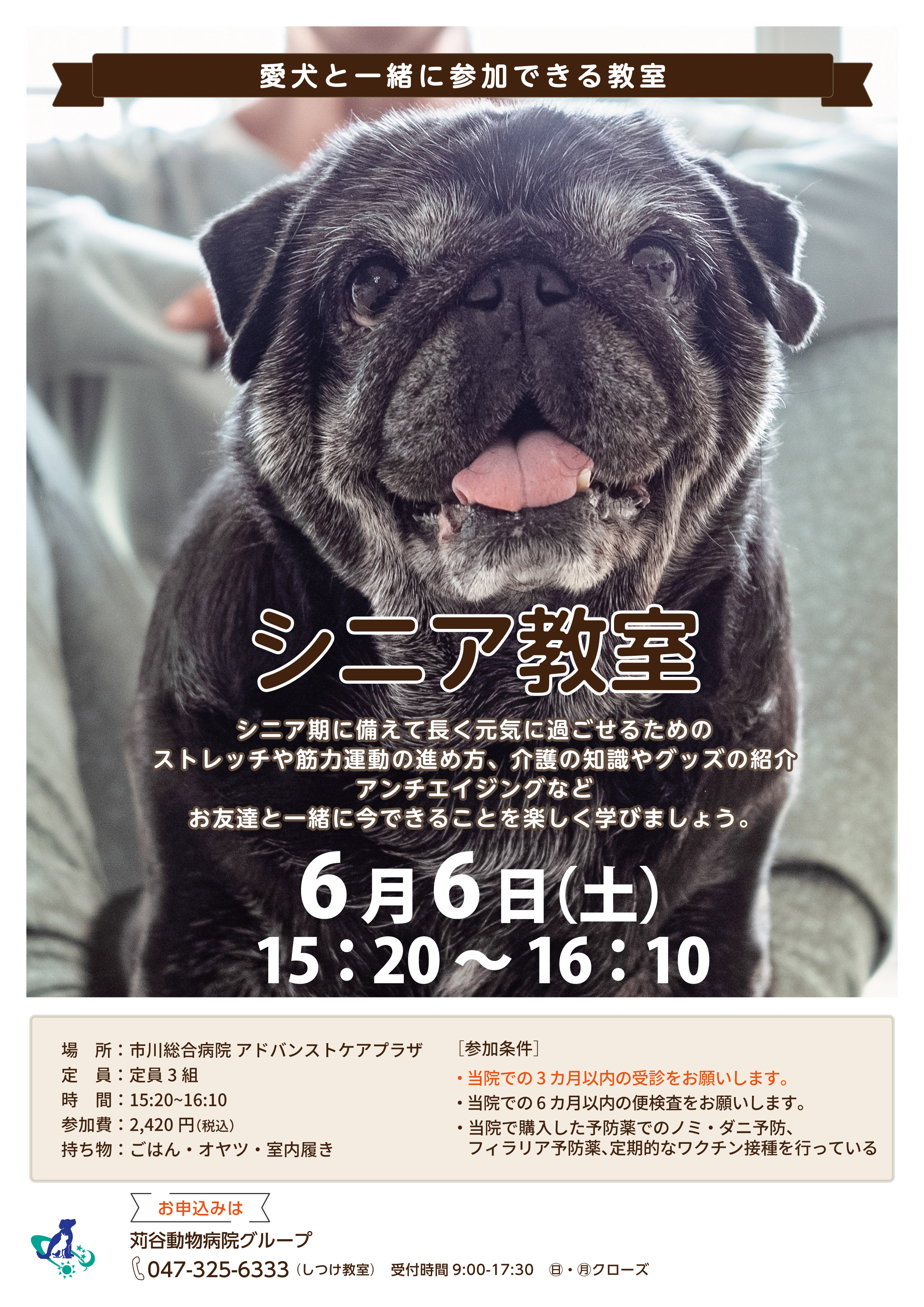 シニア教室がリニューアル！参加者募集中！ | 苅谷動物病院グループ